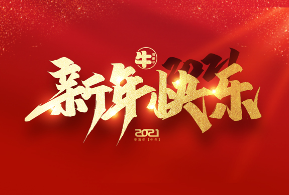 麗水市威儀自動(dòng)化技術(shù)有限公司祝全國人民2021年新年快樂(lè )！
